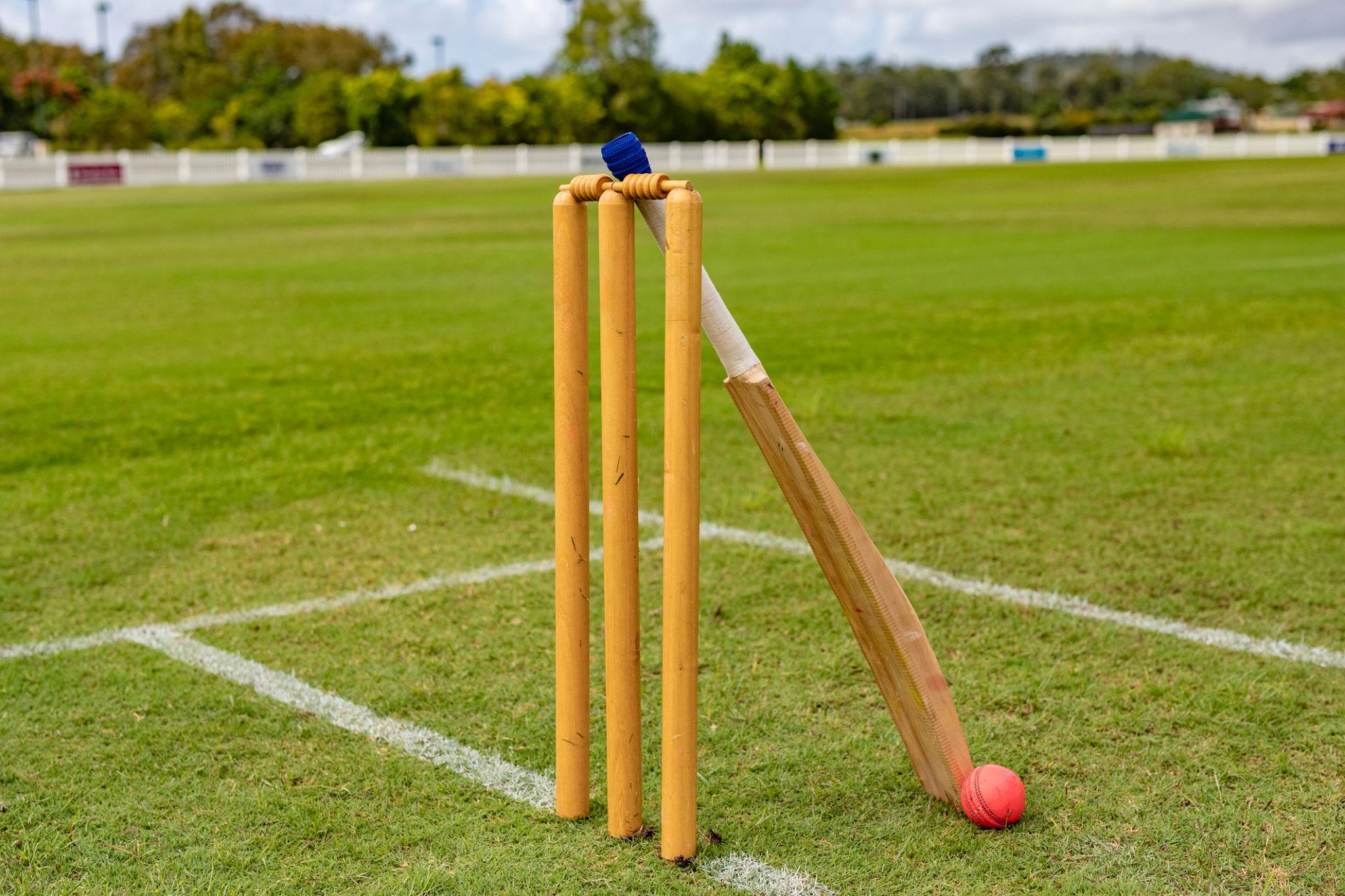 Cricket